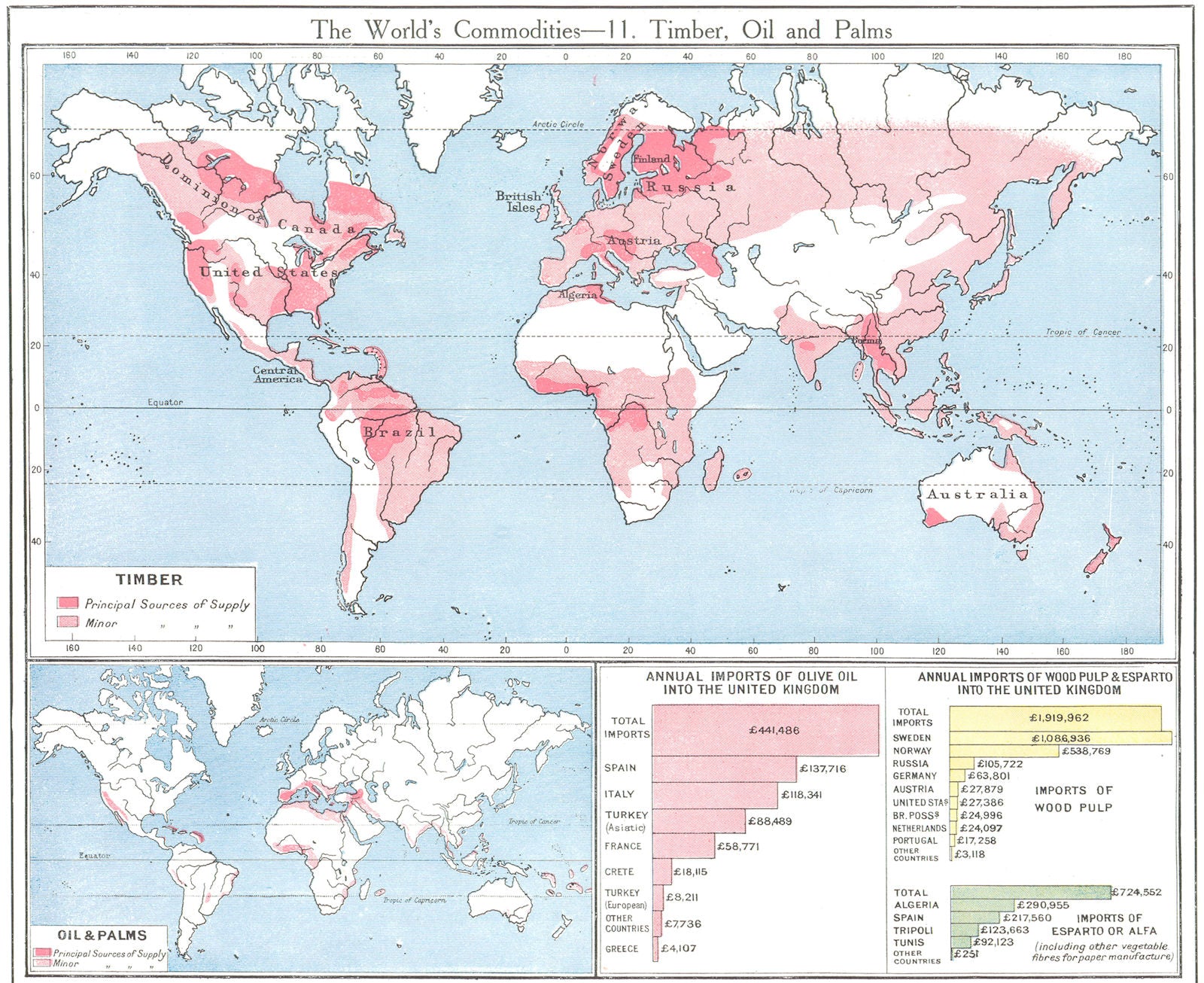 WORLD. Commodities - Production & supply of Timber; Oil and Palms 1907 old map